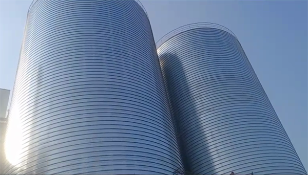 永州2座混凝土高架卷板仓